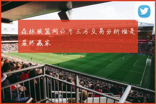 森林狼篮网公牛三方交易分析谁是最终赢家